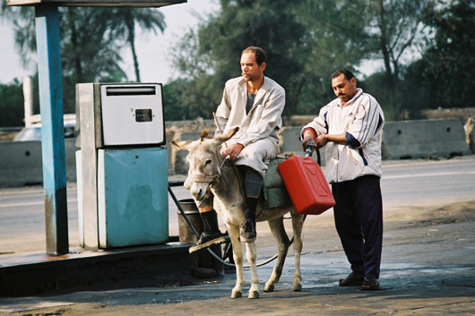 מיכל מלא בבקשה